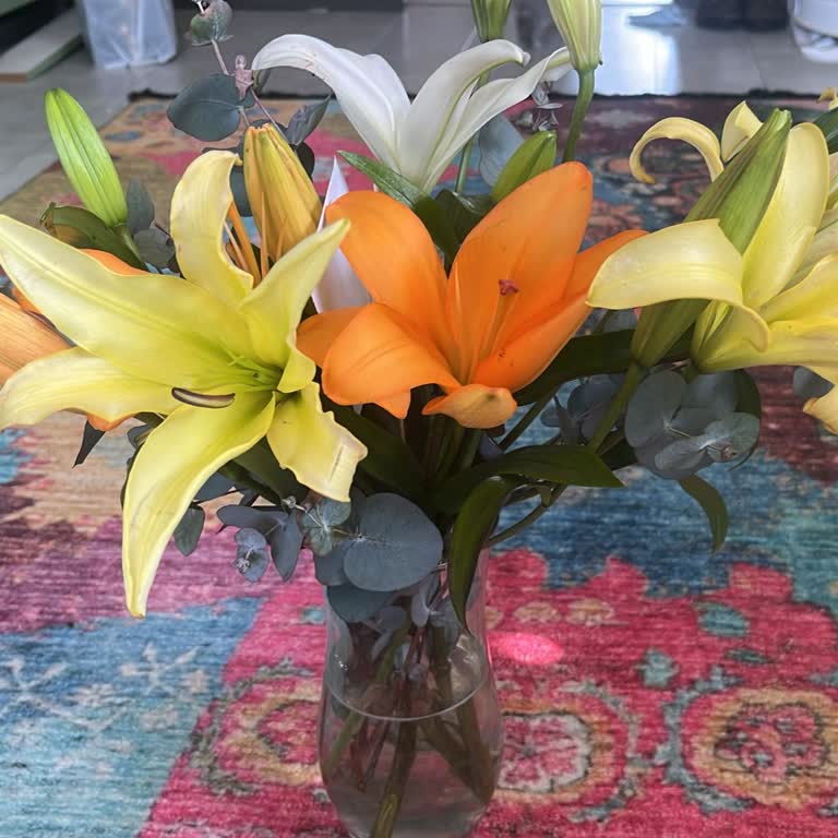 Osevio.com Ne Evde Kimse Teslim Aldı Ne De İmza Karşılığı Bir Teslimat Yapıldı