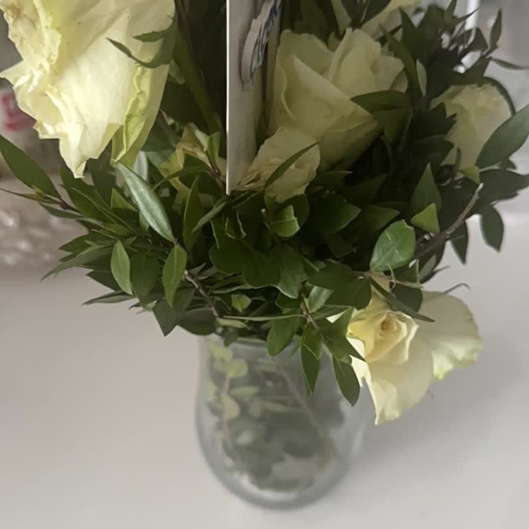 Çiçek Sepeti'nden Gelen Solmuş Çiçekler İçin İade Talebi