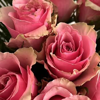 Hızlı Çiçek Com’dan Görseldekiyle Uyuşmayan Solmuş Buket Teslimatı