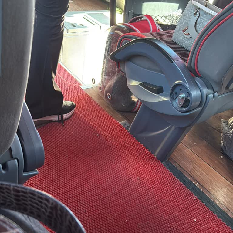 Hamile Ve Alerjik Yolcunun Kedinin Yanına Zorlanması