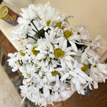 Solmuş Ve Çürük Çiçek Gönderimi Güvenimizi Sarstı