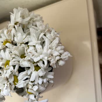 Solmuş Ve Çürük Çiçek Gönderimi Güvenimizi Sarstı