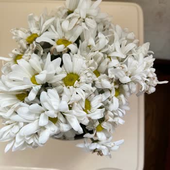 Solmuş Ve Çürük Çiçek Gönderimi Güvenimizi Sarstı