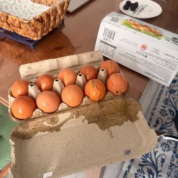 Kırık Yumurtalar Teslim Edildi, İade Sözleri Tutulmadı