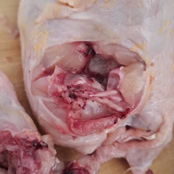 Taze Piliç Tavukta Morarma Ve Hijyen Sorunu, Ücret İadesi Talebi