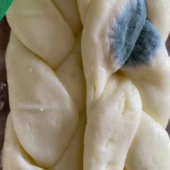 Sütaş Örgü Peynirinde Geçerli Tarihli Küf Sorunu Ve Mağduriyet