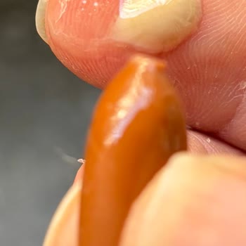 Orijinal Olmayan Ürün Ve Yanıtsız Müşteri Hizmetleri