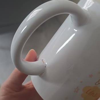 Çiçek Sepeti'nden Gelen Çerçeve Ve Kırık Bardak İçin Şikayet Ve Telafi Talebi