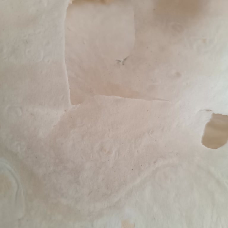 Komagene Tire Şubesinde Küflü Ve Delikli Lavaş Sorunu