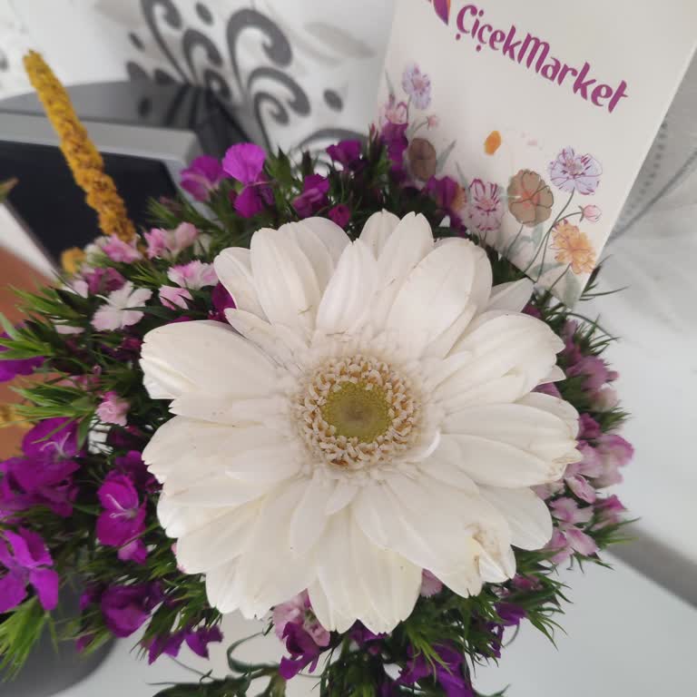 Sipariş Edilen Çiçek Görsellerle Uyuşmuyor Ve Solmuş