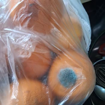 Ramazan'da Çürümüş Ürünler Gönderildi Ve Müşteri Hizmetleri İlgisiz