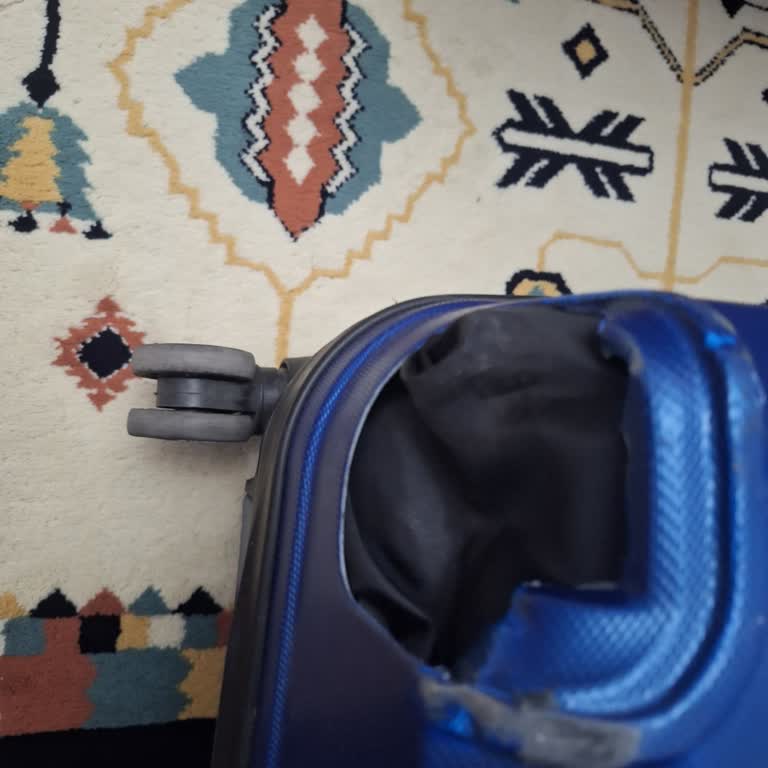 Pegasus Kayseri-İzmir Uçuşunda Kayıp Ve Hasarlı Bagaj Şikayeti