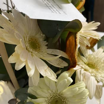 900 TL'lik Çiçek Siparişinde Kalitesizlik Ve Müşteri Hizmetinden Cevap Yok