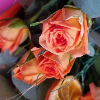 Kadınlar Günü Buketinde Soluk Çiçek Ve Yanıtsız Müşteri Desteği