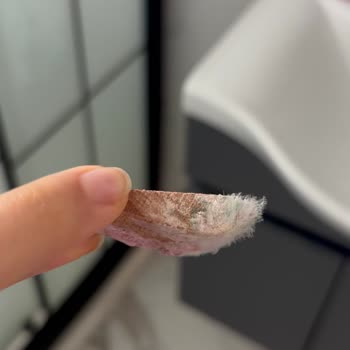 Katılaşan Toz Peeling Ve Yosun Benzeri Oluşumlar Hijyen Endişesi
