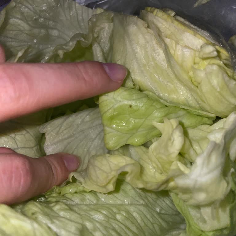 Marulda Böcek Tespiti Ve Yemeksepeti'nden İade Reddi