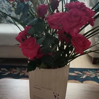 Taze Çiçek Siparişlerinde Solmuş Çiçekler Ve Ulaşılmaz Müşteri Hizmetleri