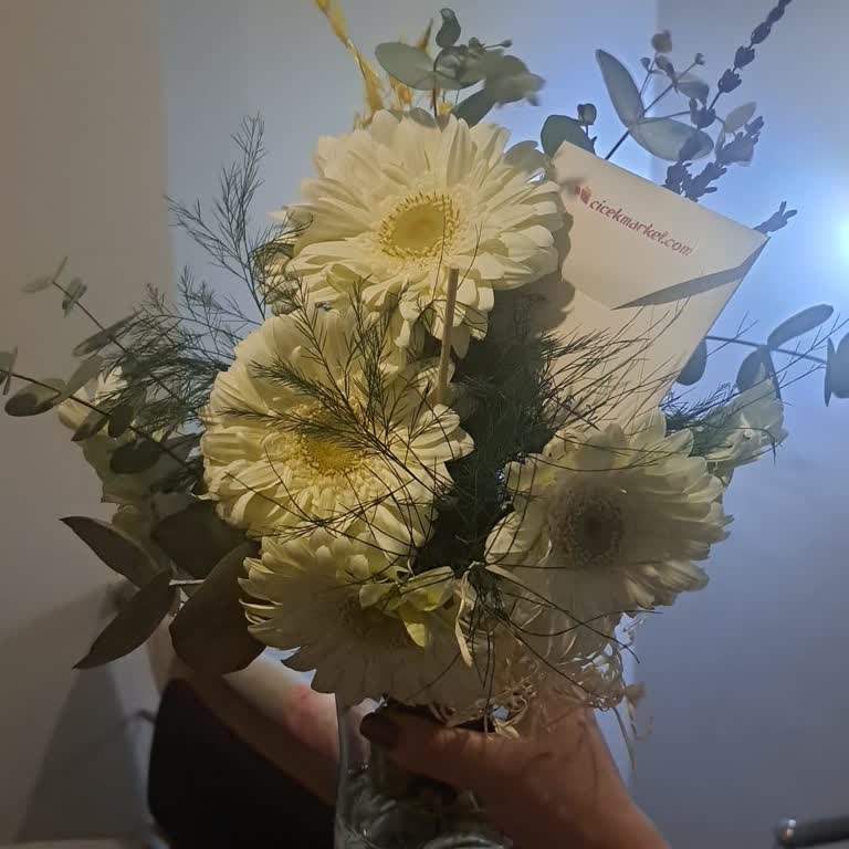 Kırmızı Gerbera Vazosu Beyaz Geldi, Doğru Renk Ve İade İstiyorum