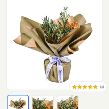 İlan Görselindeki Sağlıklı Zeytin Ağacı Gerçek Ürünle Uyuşmuyor