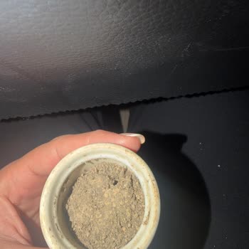 Çakırkeyf Fasıl Restoran Genel Hijyen Baştan Sona Tam Bir Hayal Kırıklığıydı