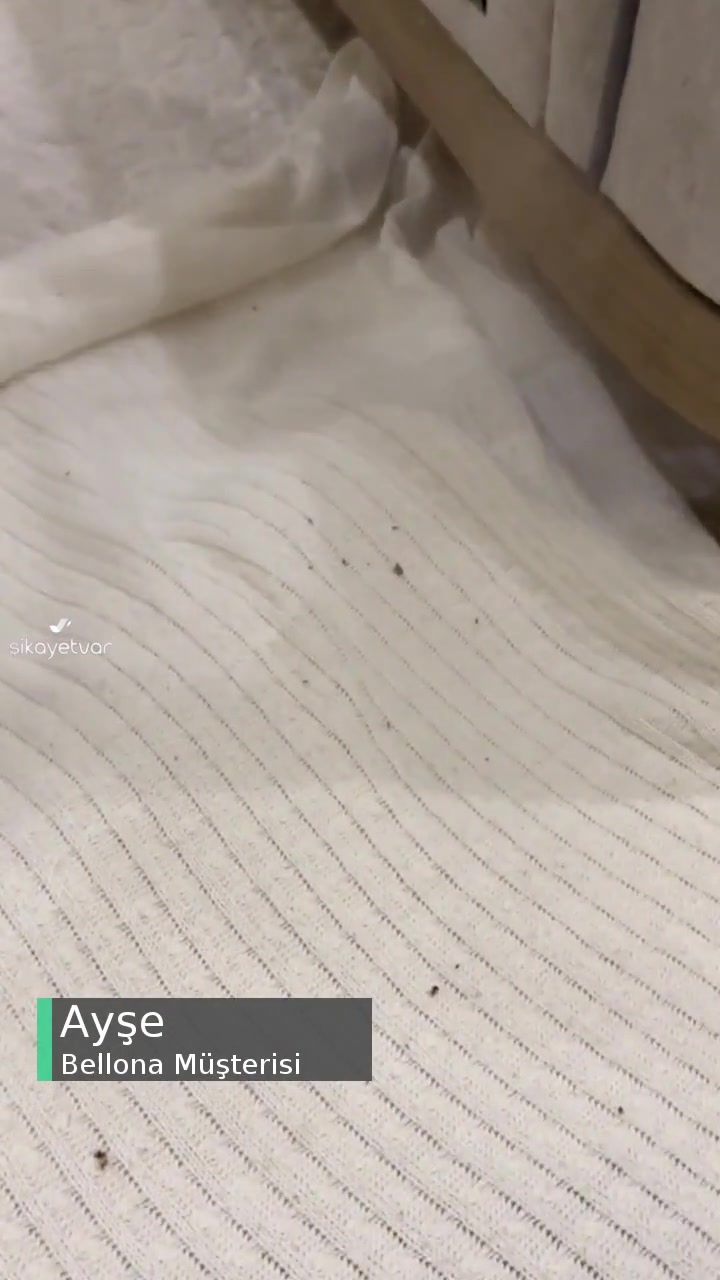 Bellona Şirinevler Tahta Kurulu Koltuk! videonun kapak resmi