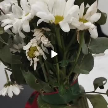 Kurumuş Çiçekler Teslim Edildiği İçin Hızlı Değişim Ya Da İade Talebi