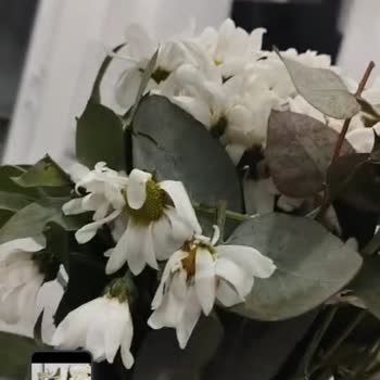 Kurumuş Çiçekler Teslim Edildiği İçin Hızlı Değişim Ya Da İade Talebi