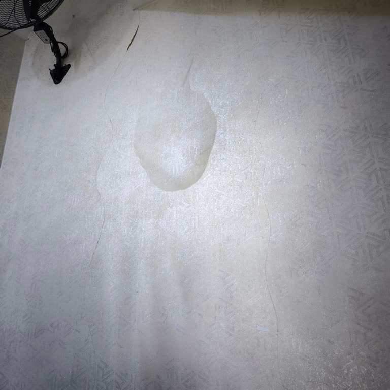 Allianz Sigorta Hâlâ Ne Arayan Oldu Ne De Hasarla İlgili Bilgi Veren Biri Oldu