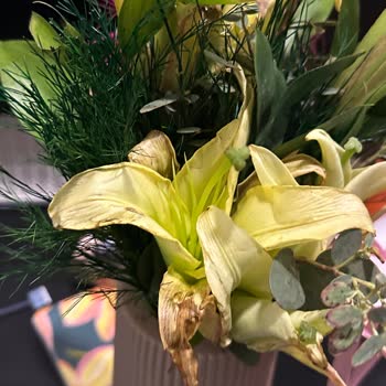 Ayıplı Çiçek Siparişi Ve İade Talebinin Reddedilmesi