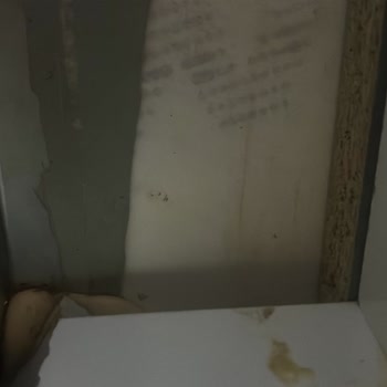 Coante Tezgahının Kendiliğinden Çatlaması Ve Ücretsiz Değişim Talebi