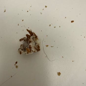 Blok Kavurmanın İçinde Kalın Erkek Kılı Çıktı