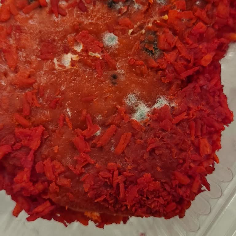 Özsüt Bozulmuş Pasta Satışı Çocukları Tehlikeye Atıyor