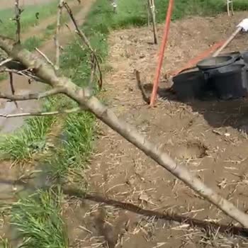 Bahçemde Yarım Bırakılan Peyzaj Çalışması Ve Armut Platformunda Yaşadığım Sorunlar