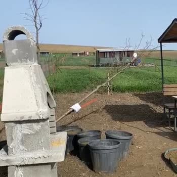 Bahçemde Yarım Bırakılan Peyzaj Çalışması Ve Armut Platformunda Yaşadığım Sorunlar