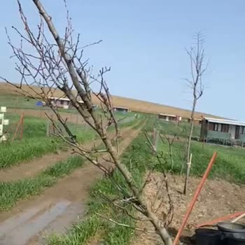 Bahçemde Yarım Bırakılan Peyzaj Çalışması Ve Armut Platformunda Yaşadığım Sorunlar