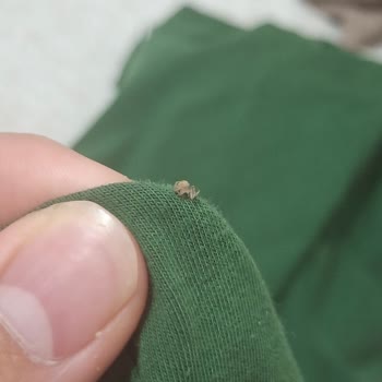 BİM Simbat Çekirdeğinde Böcek Bulunması Ve Gıda Güvenliği İhlali