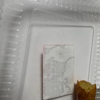 Hijyen Koşulları Konusunda Ciddi Şekilde Endişelenmeme Neden Oldu