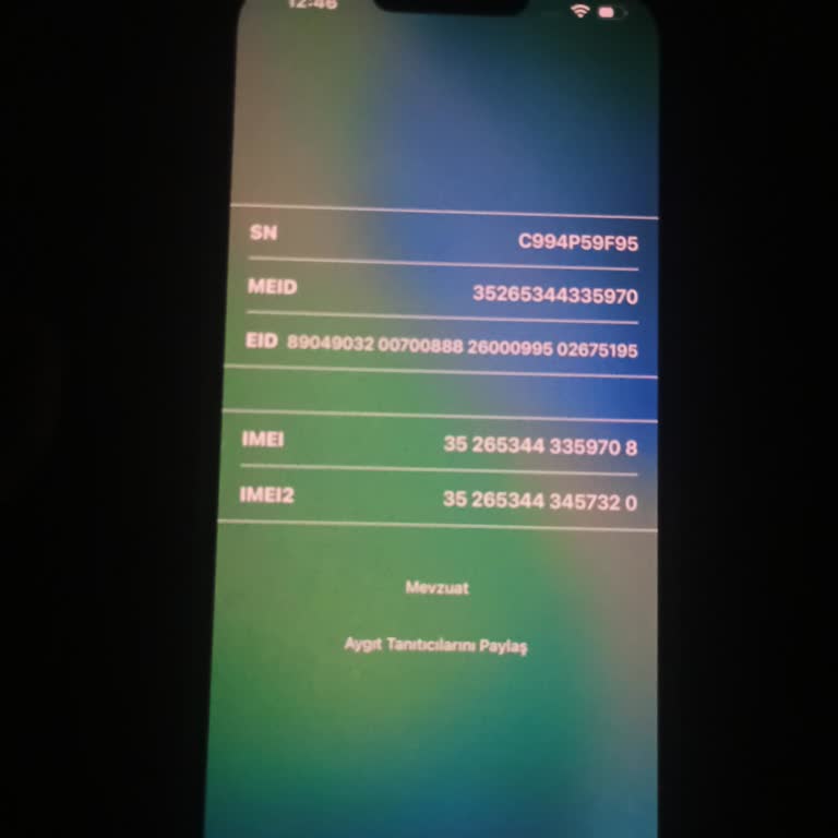 IPhone 13 Pro Max'te Sahibi Olmadığım Gmail Hesabı İle Kilit Sorunu