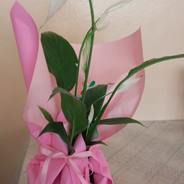 Sipariş Edilen Çiçek Görseldeki Gibi Değildi