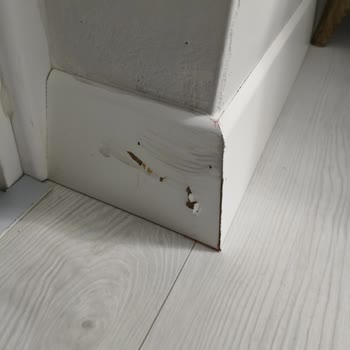 Ercüment Nakliyat'tan Ücret Karşılığı Olmayan Zarar Ve Saygısız Tutum