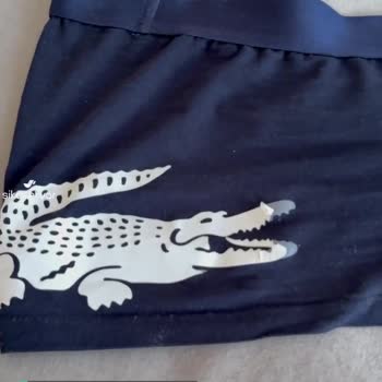 Lacoste Umursamazlığı Ya Da Hizmetsizliği