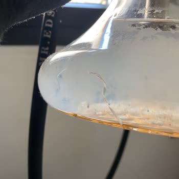 Mr. Eds Cam Fanus Kırık Geldi İlgilenmiyor