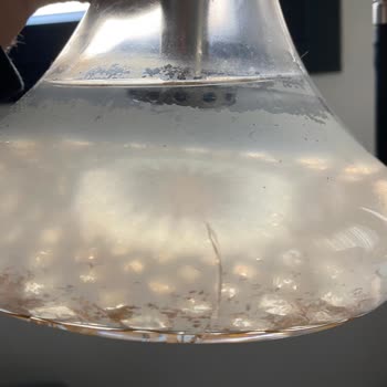 Mr. Eds Cam Fanus Kırık Geldi İlgilenmiyor