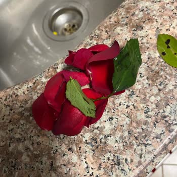 Gecikmeli Teslimat Ve Çabuk Solan Çiçekler Yüzünden Mağduriyet