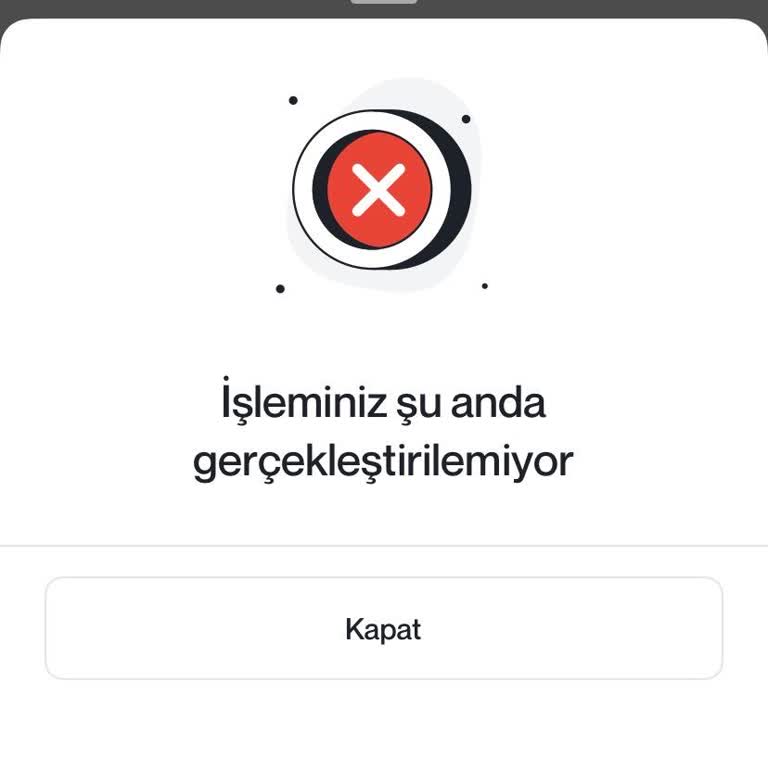 Papel Mobil Uygulamasında Giriş Sorunu Ve Acil Hesap Erişimi Talebi