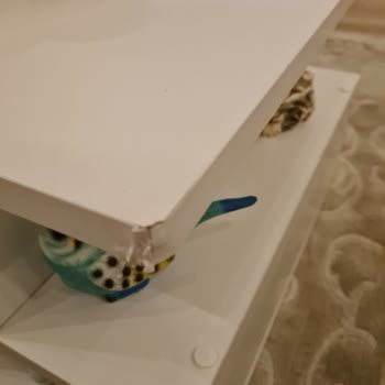 Vivense'de Geçersiz İade Kodu Nedeniyle Ürün Geri Gönderilemiyor