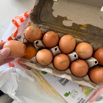 Migros Sanal Market'te Kırık Organik Yumurta Teslimatı Ve Tekrarlayan Paketleme Sorunu