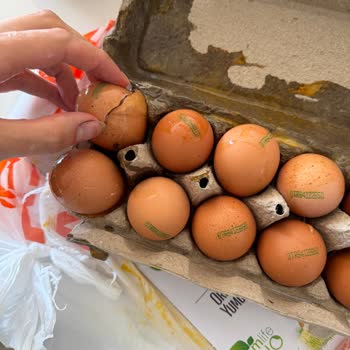 Migros Sanal Market'te Kırık Organik Yumurta Teslimatı Ve Tekrarlayan Paketleme Sorunu