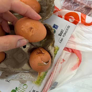 Migros Sanal Market'te Kırık Organik Yumurta Teslimatı Ve Tekrarlayan Paketleme Sorunu