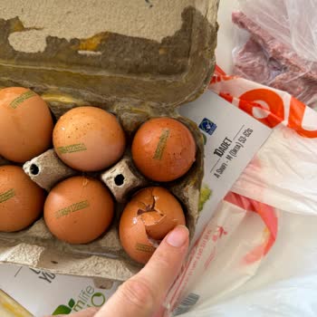 Migros Sanal Market'te Kırık Organik Yumurta Teslimatı Ve Tekrarlayan Paketleme Sorunu